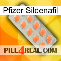 Pfizer Sildenafil 26